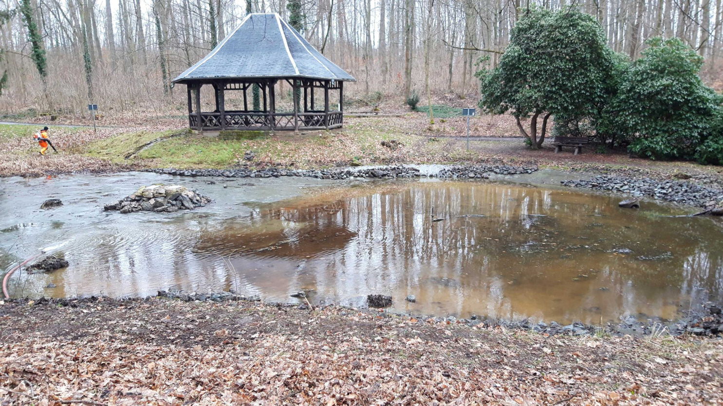 Ententeich im Stadtpark wird nach Säuberung wieder neu befüllt Stadt